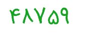 security code