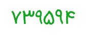 security code