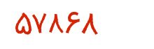 security code